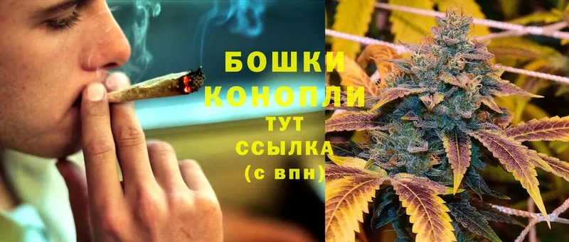 Каннабис OG Kush  Буйнакск 